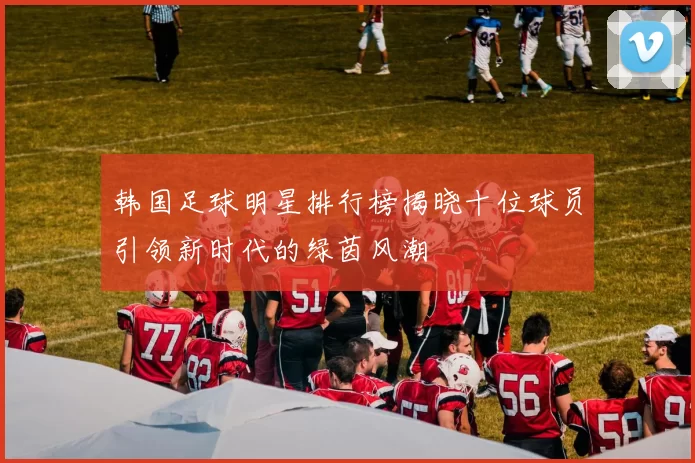 韩国足球明星排行榜揭晓十位球员引领新时代的绿茵风潮