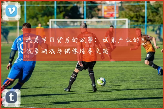 选秀节目背后的故事：娱乐产业的流量游戏与偶像培养之路