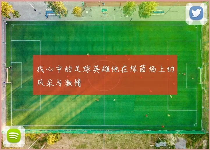 我心中的足球英雄他在绿茵场上的风采与激情