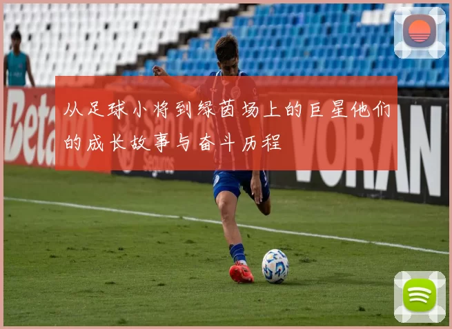 从足球小将到绿茵场上的巨星他们的成长故事与奋斗历程