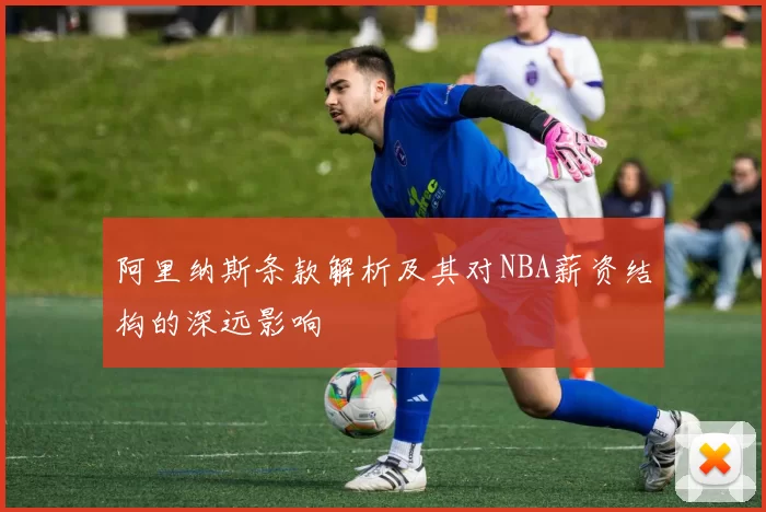 阿里纳斯条款解析及其对NBA薪资结构的深远影响