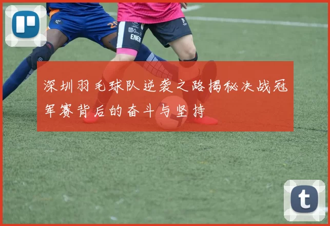 深圳羽毛球队逆袭之路揭秘决战冠军赛背后的奋斗与坚持